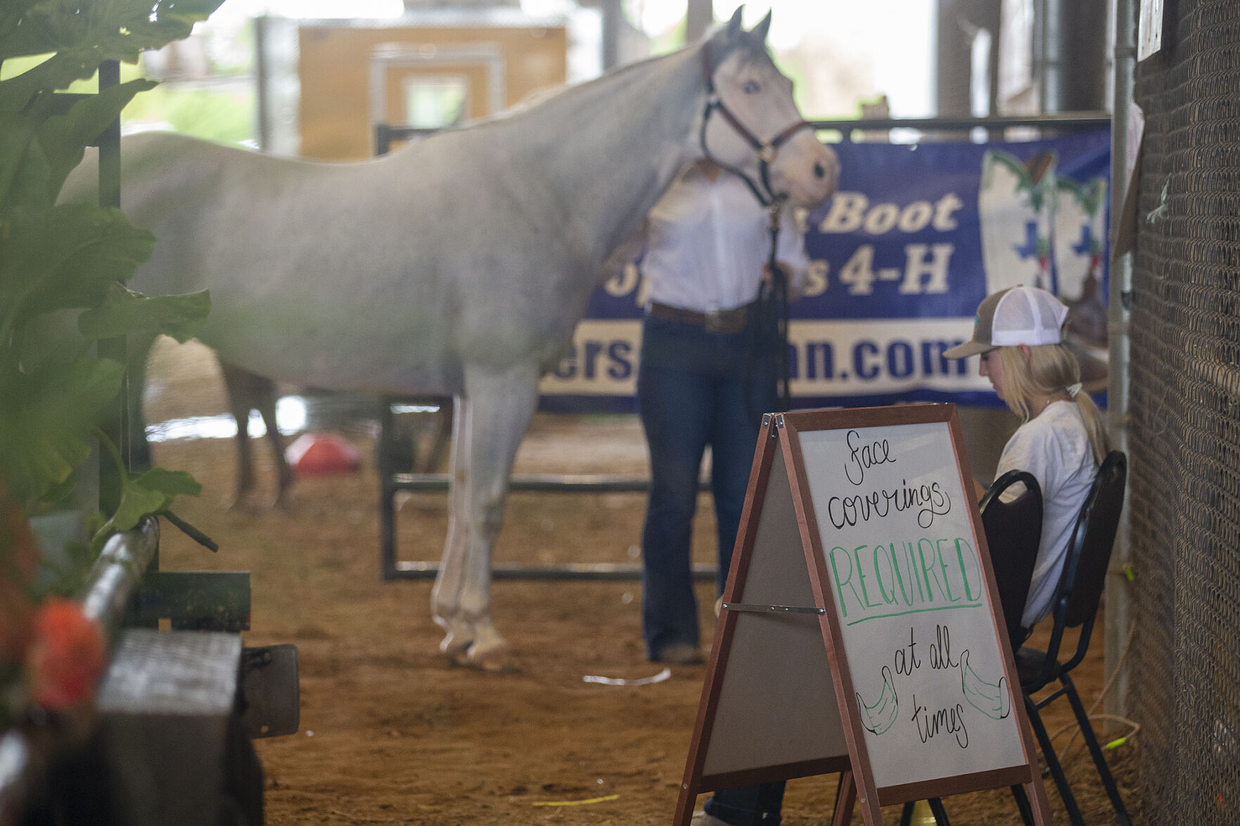 4-H horse show